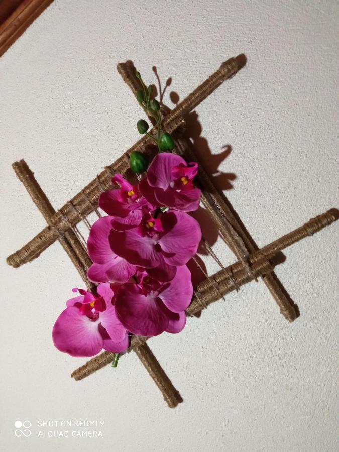 פנקובה Casa Dos Grilos מראה חיצוני תמונה