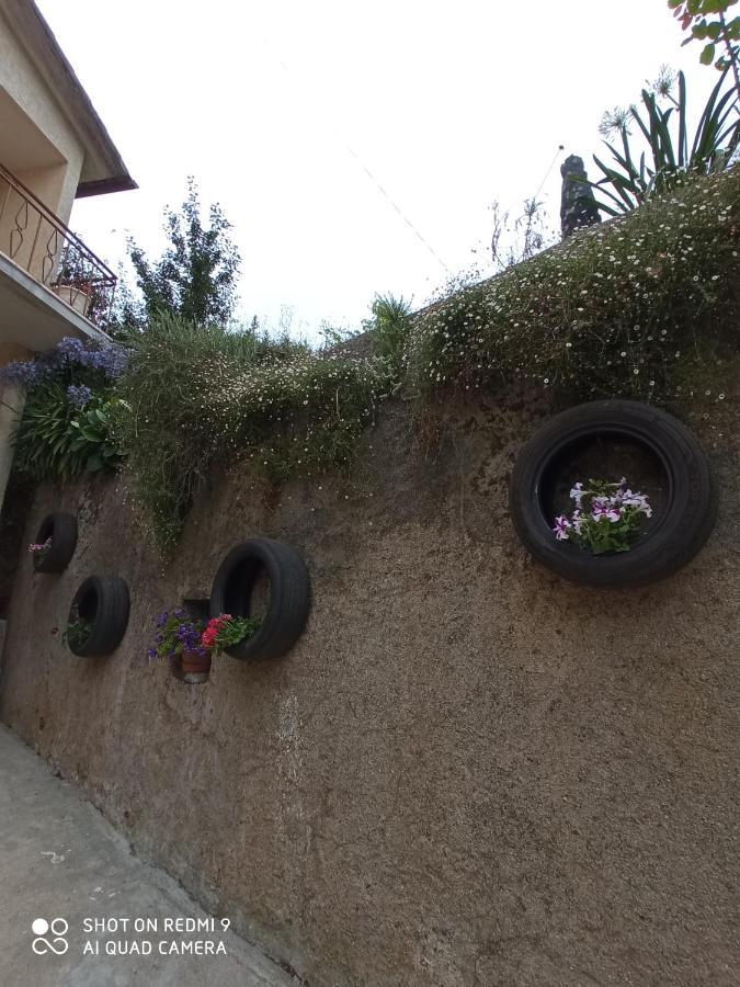 פנקובה Casa Dos Grilos מראה חיצוני תמונה
