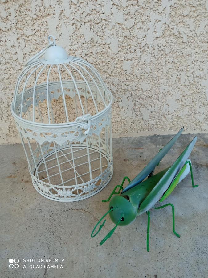 פנקובה Casa Dos Grilos מראה חיצוני תמונה