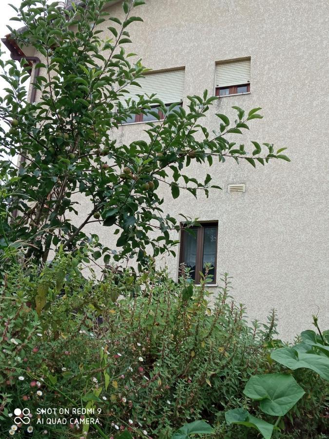 פנקובה Casa Dos Grilos מראה חיצוני תמונה